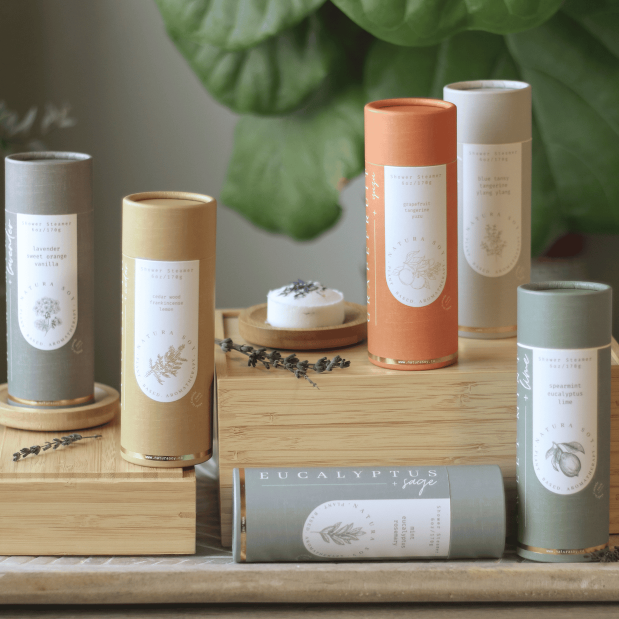 shower steamer collection